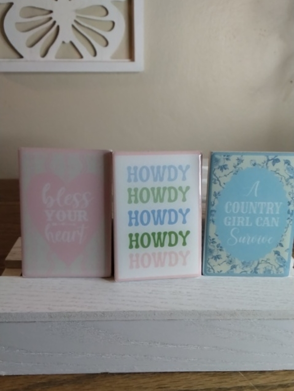 Pastel Decorative Magnets- Bless Your Heart, Howdy, Country Girl